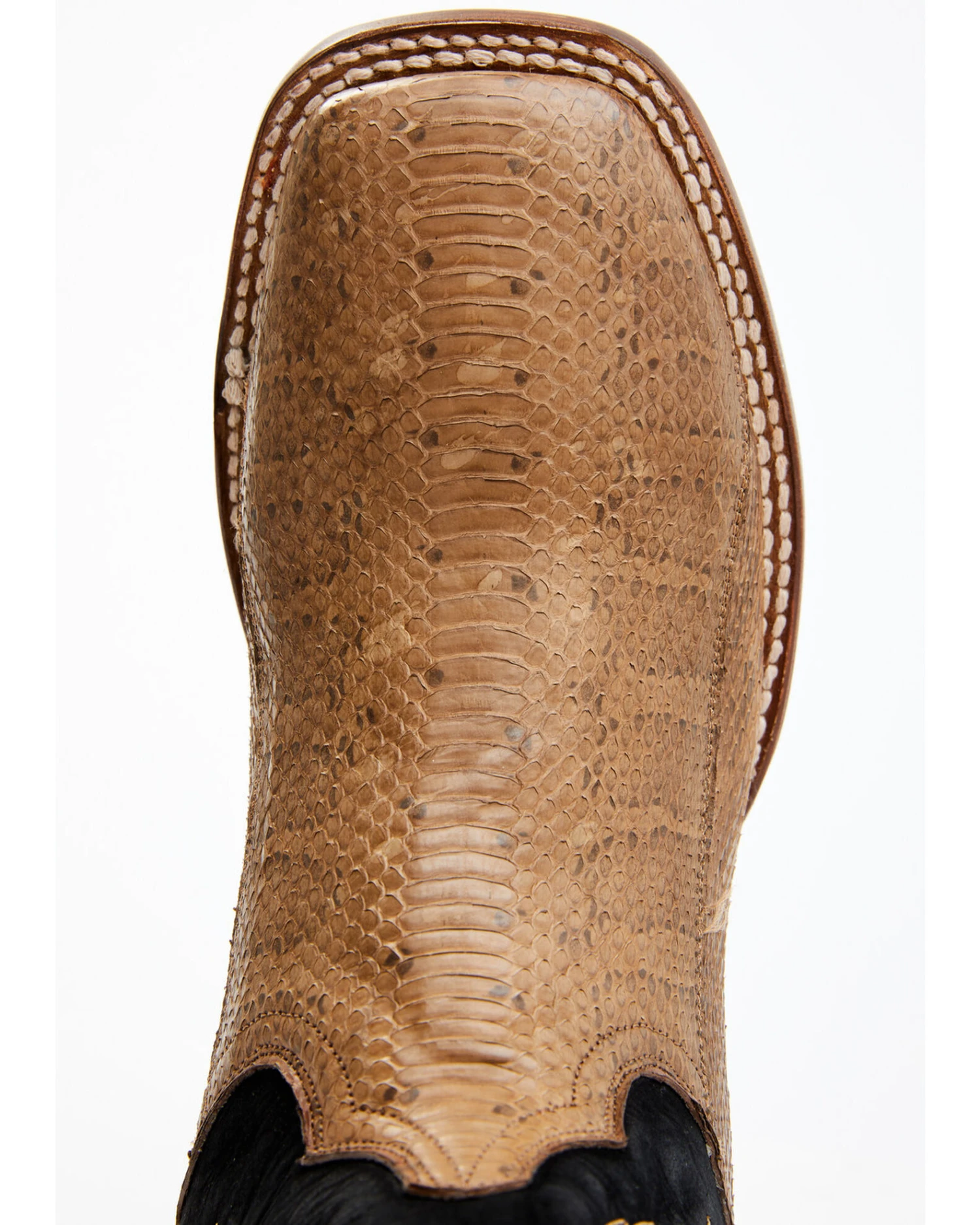 Dan Post Men's Taupe Water Snake Exotic Western Boots - Broad Square Toe - Image 6